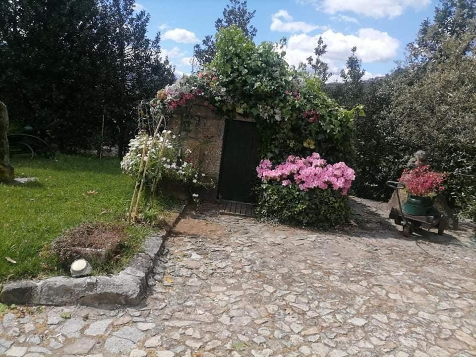 Santa Marinha do ZêzereQuinta Da Cartida别墅 外观 照片