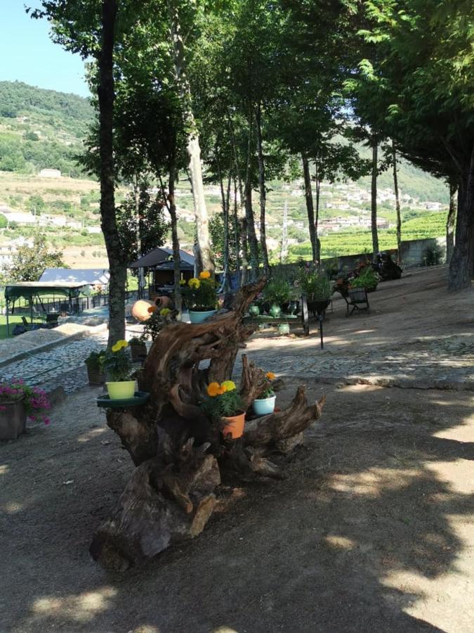 Santa Marinha do ZêzereQuinta Da Cartida别墅 外观 照片