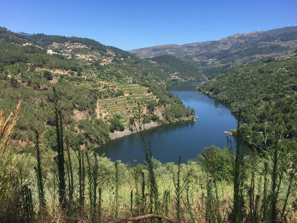 Santa Marinha do ZêzereQuinta Da Cartida别墅 外观 照片
