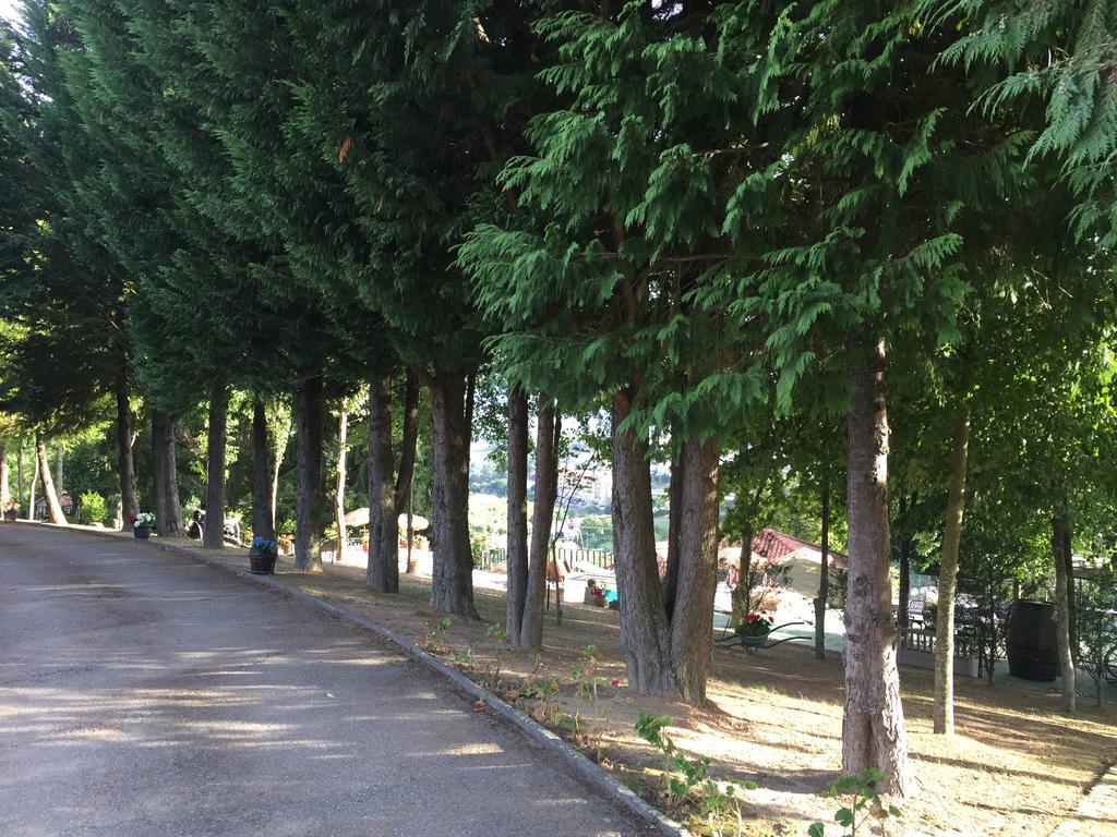 Santa Marinha do ZêzereQuinta Da Cartida别墅 外观 照片