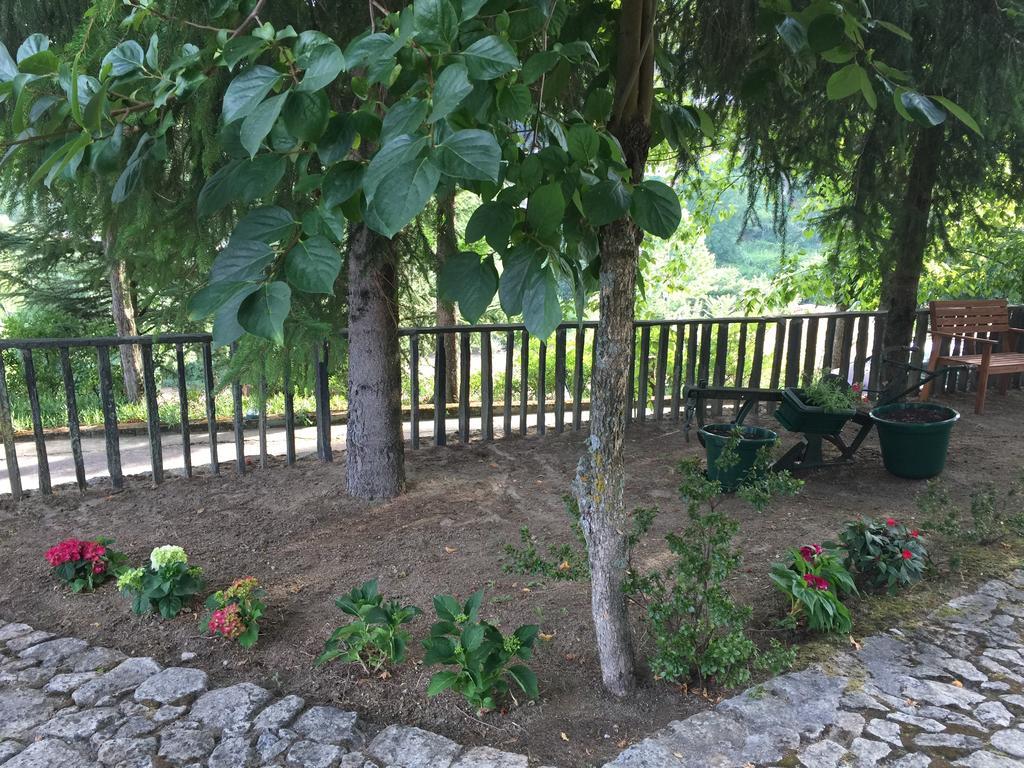 Santa Marinha do ZêzereQuinta Da Cartida别墅 外观 照片